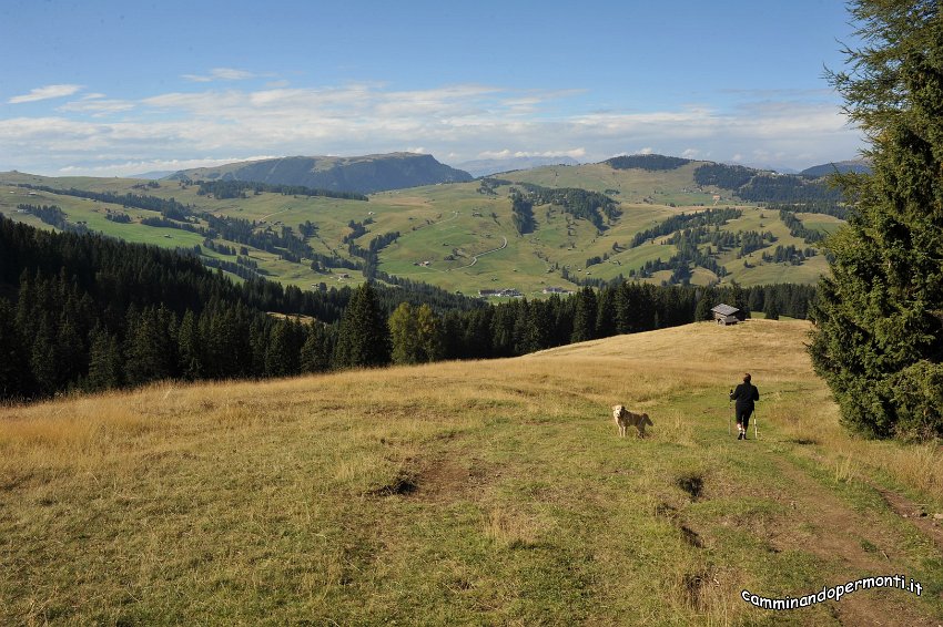 133 Alpe di Siusi.JPG